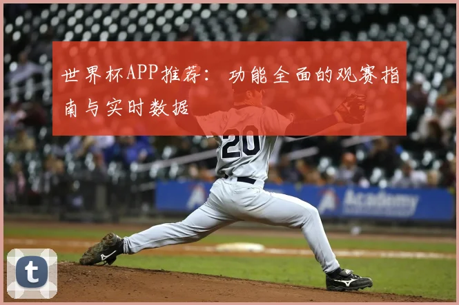世界杯APP推荐：功能全面的观赛指南与实时数据