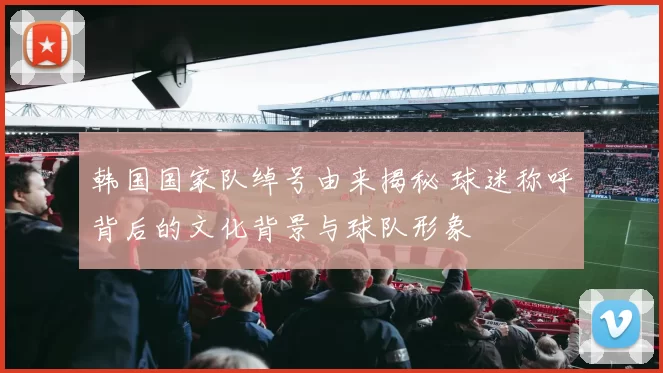 韩国国家队绰号由来揭秘 球迷称呼背后的文化背景与球队形象