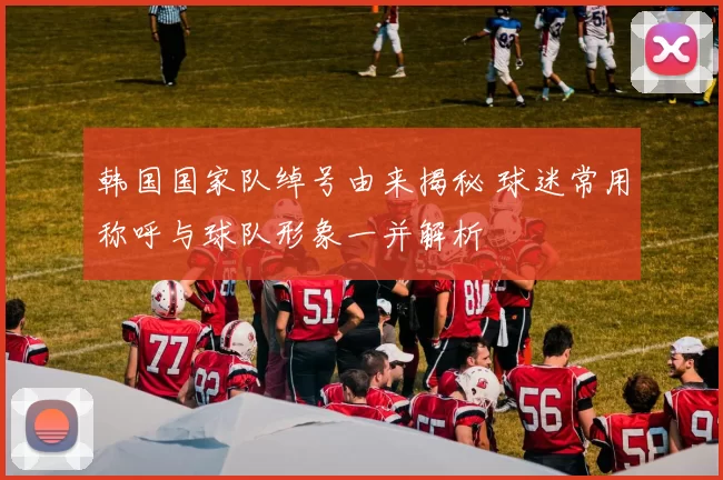 韩国国家队绰号由来揭秘 球迷常用称呼与球队形象一并解析
