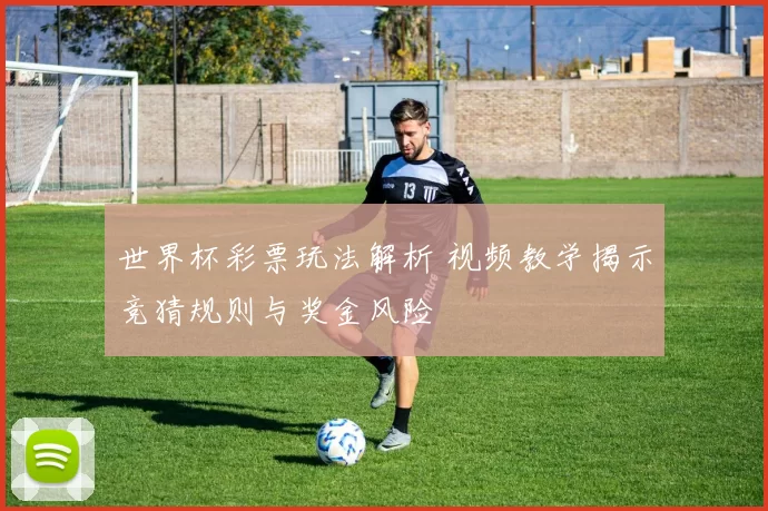 世界杯彩票玩法解析 视频教学揭示竞猜规则与奖金风险