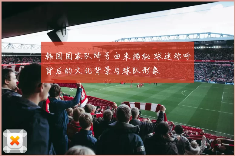 韩国国家队绰号由来揭秘 球迷称呼背后的文化背景与球队形象